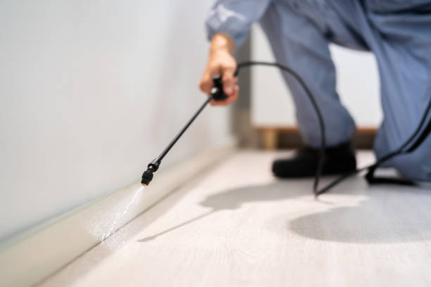 Bed Bug Pre-Treatment Preparation Assessment in Ladera