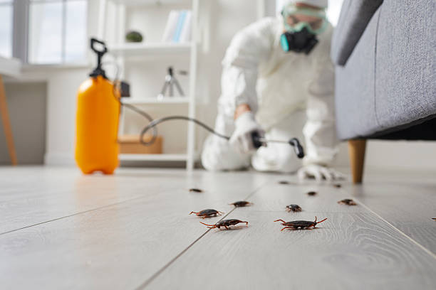 Post-Treatment Bed Bug Interceptor Monitoring in Ladera