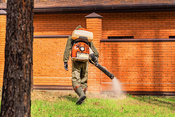 Bed Bug Clearance Verification and Documentation in Ladera